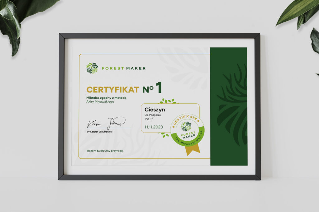 Framed Forest Maker certificate
