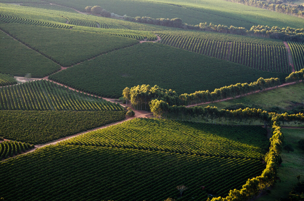 Aerial view of green rolling farmland