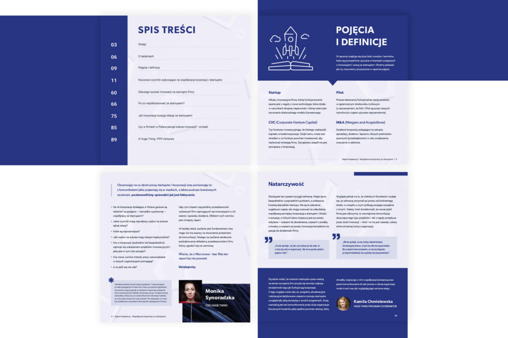 Huge Thing report pages: table of contents and definitions, in Polish