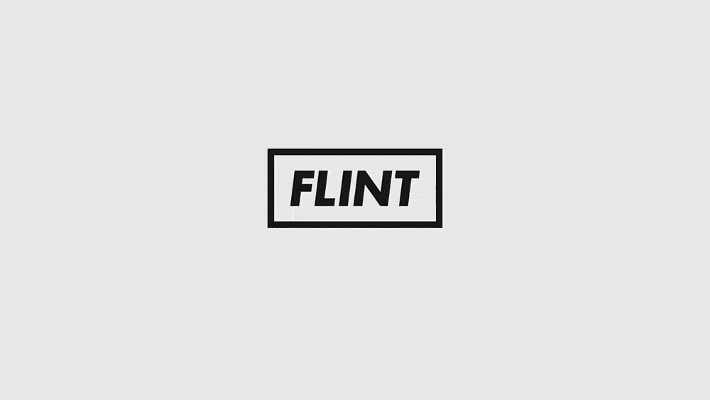 FLINT logo animation on a light background