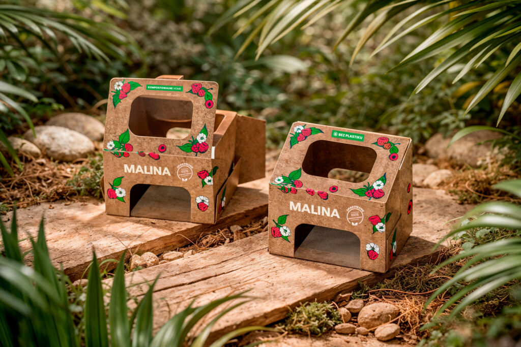 Cardboard raspberry punnets with "Malina" print on a garden path