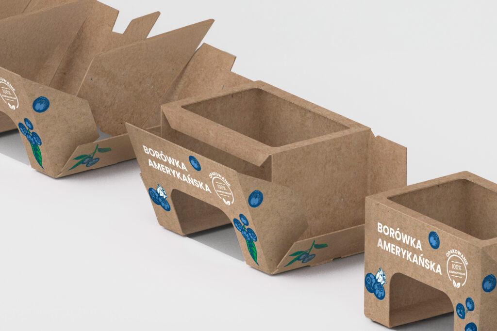 Cardboard blueberry punnets with "Borówka amerykańska" print